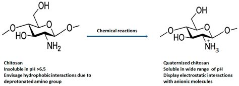  Quaternized Chitosan:  The Secret Weapon for Sustainable Biocompatible Materials!